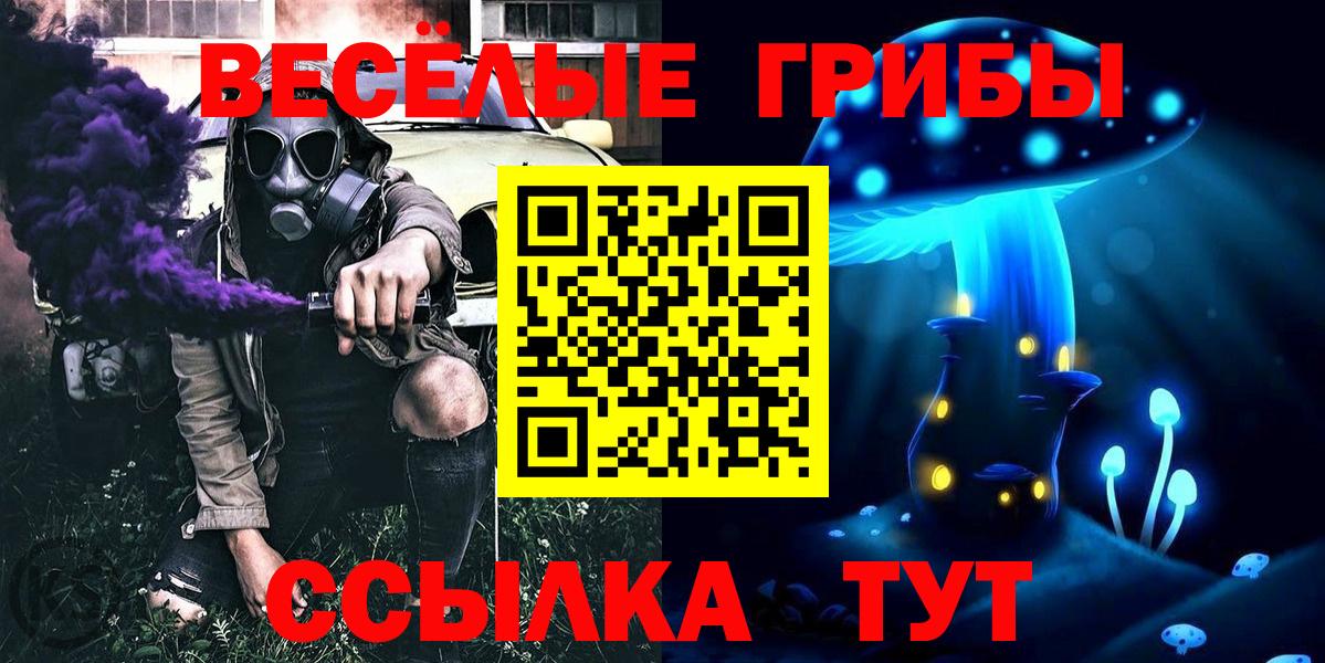 Рославль  наркота  Вход с VPN  Галлюциногенные грибы Psilocybine cubensis 