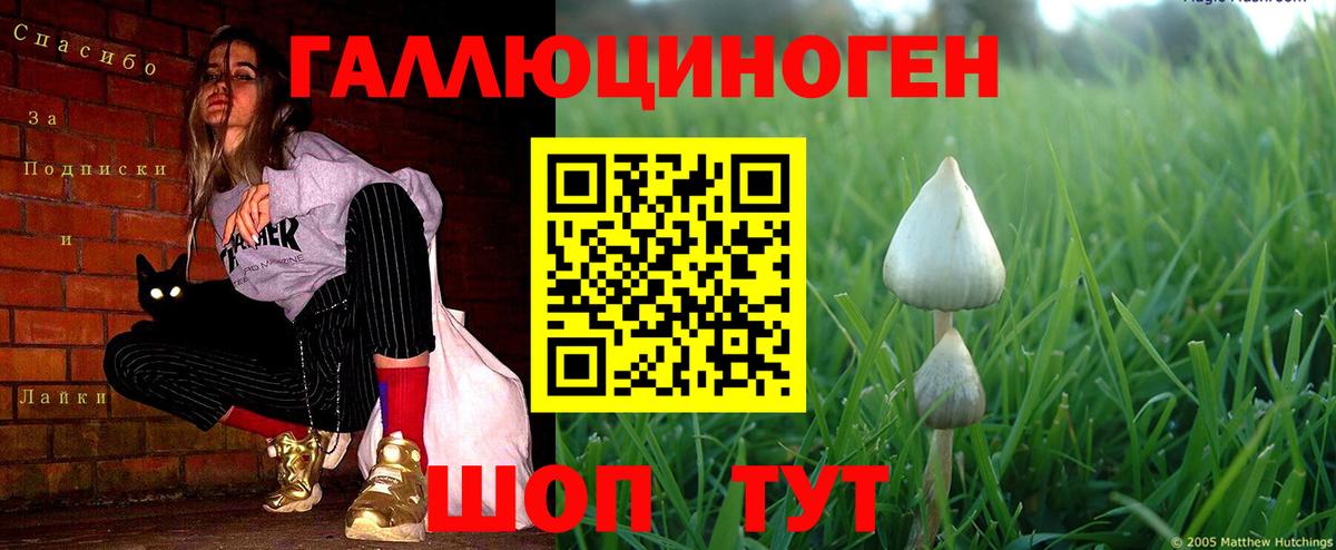 Псилоцибиновые грибы ЛСД Рославль